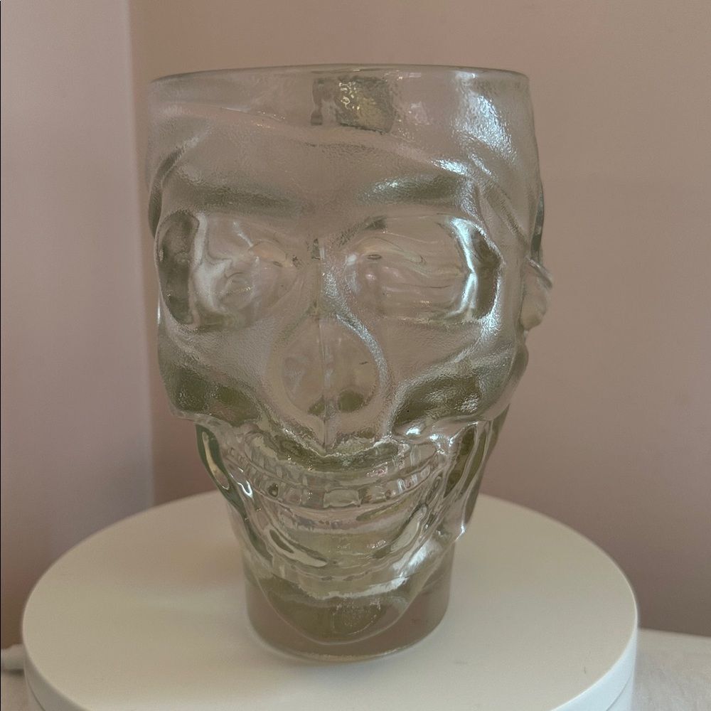 Mug Skull Heavy Glass Guy Fieri's Cancun Collectible Beer Mug